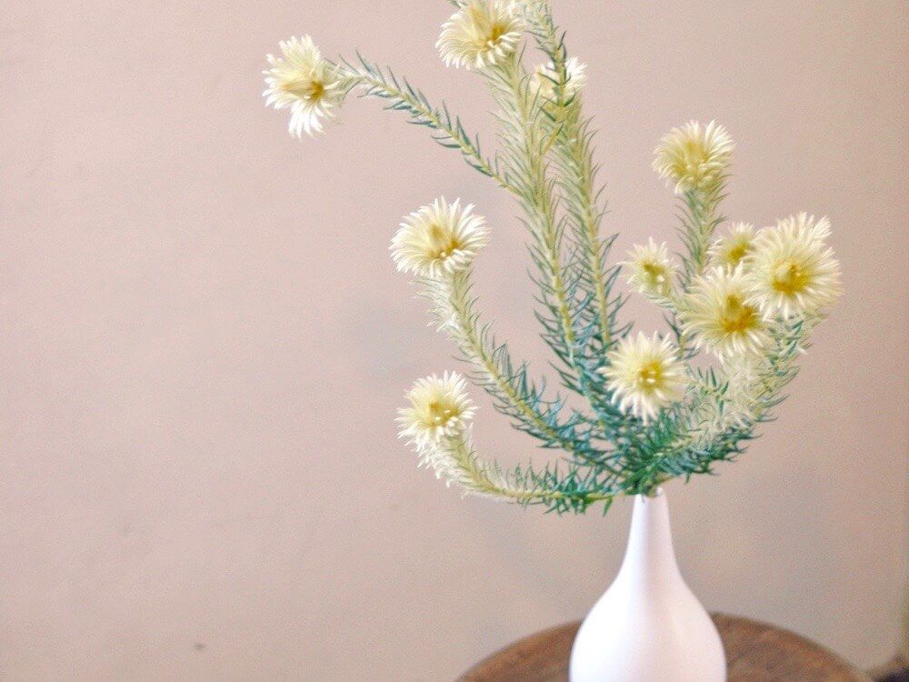 フィリカ　グリーンブーケ　花瓶　リーフアレンジ