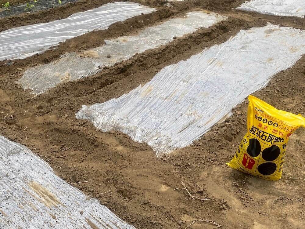 土壌改良　消毒　家庭菜園