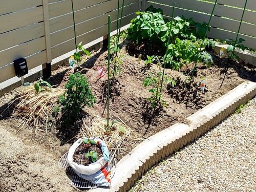 初心者のためのガーデニングの基本 花の植え方 おしゃれな庭をつくるコツは Greensnap グリーンスナップ