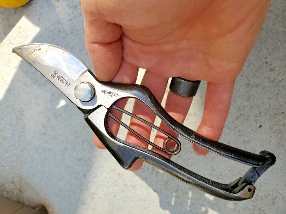 剪定　生け垣　生垣　刈り込み