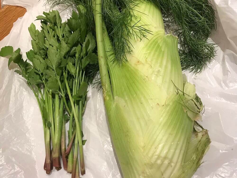 フェンネル　ういきょう　茴香 ハーブ