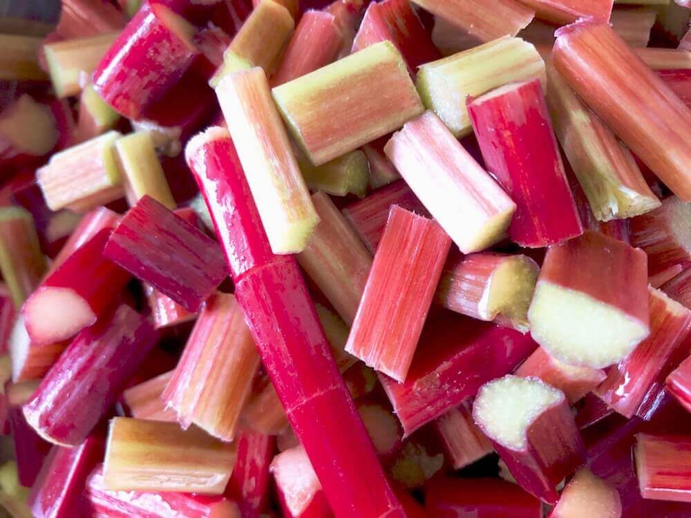 ルバーブ　西洋野菜　家庭菜園　野菜　