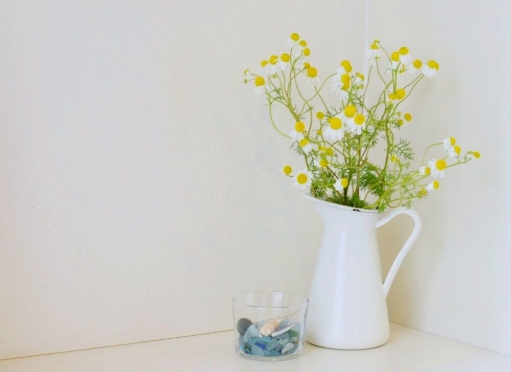 カモミール　花瓶　ハーブ