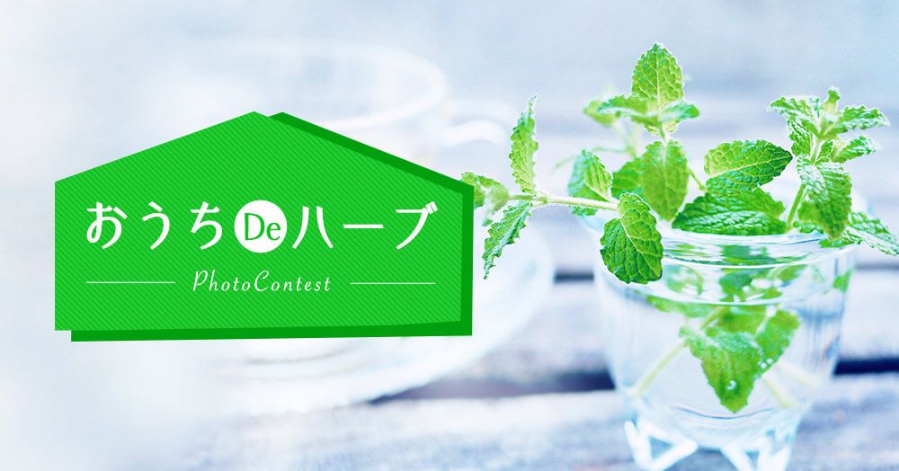 ハーブ　フォトコン