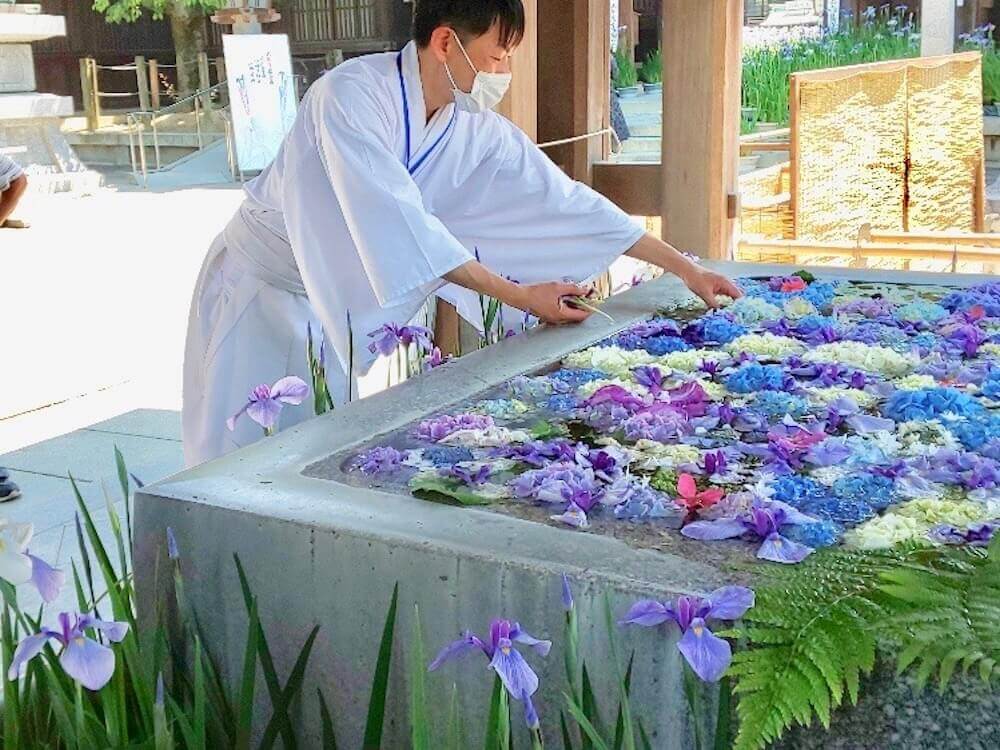 神社やお寺の粋なはからい 紫陽花が美しく映える花手水って知ってる Greensnap グリーンスナップ