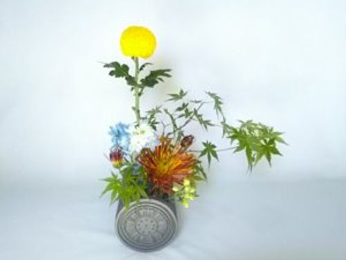 ピンポンマムの花言葉 種類や品種 花の特徴は Greensnap グリーンスナップ