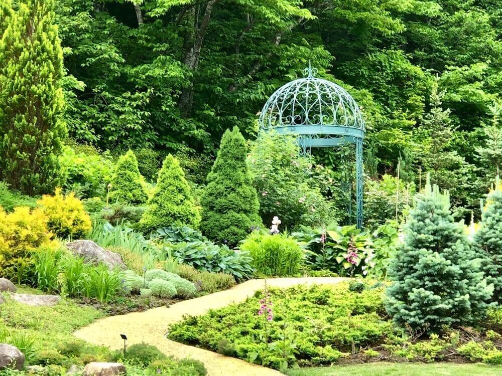 コニファー　針葉樹　庭