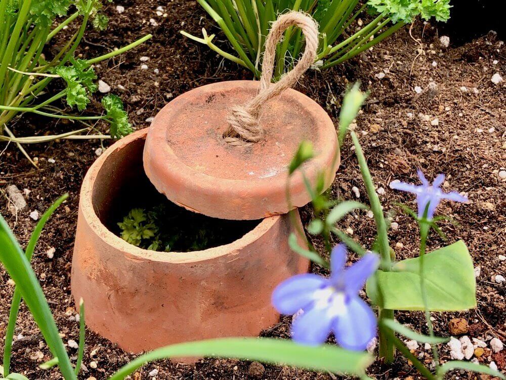 コンポスト　コンポスト　生ゴミ　堆肥