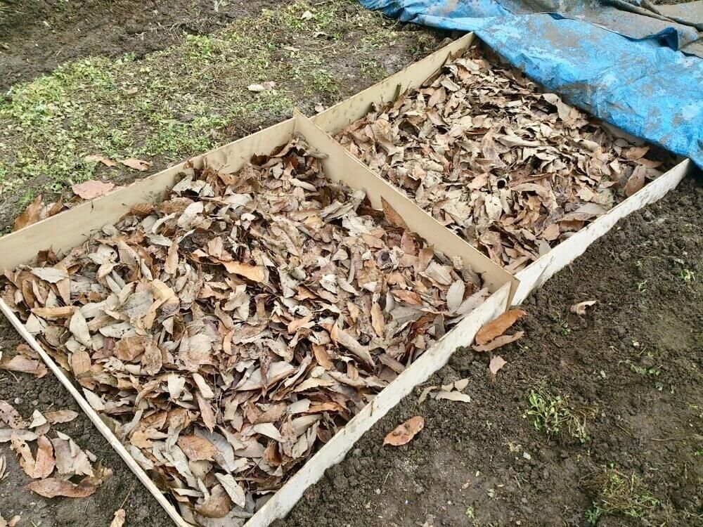 コンポスト　コンポスト　生ゴミ　堆肥