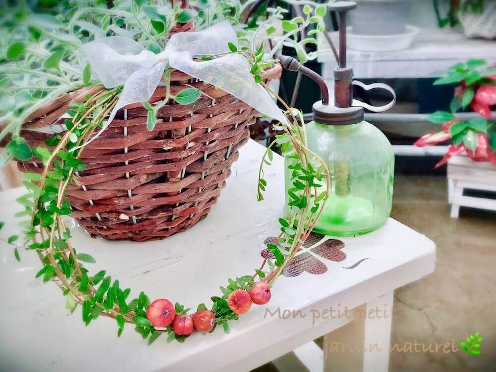 クランベリー　アレンジ