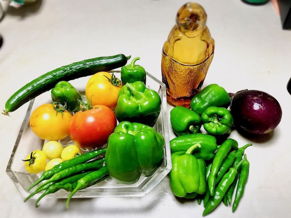 家庭菜園　野菜