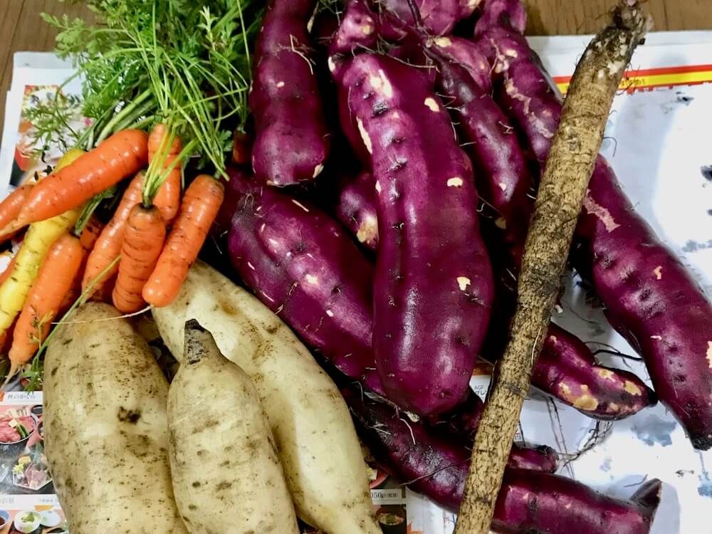 家庭菜園　野菜