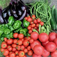 夏野菜を片付けるサインとは？8月中に家庭菜園を秋冬野菜に切り替えよう！の画像