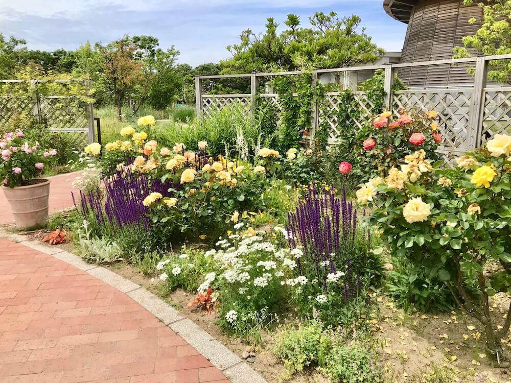 イングリッシュガーデン　地植え　花