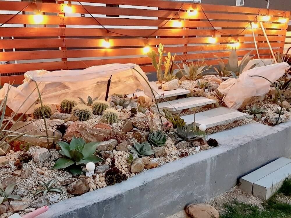 ドライガーデン　ロックガーデン