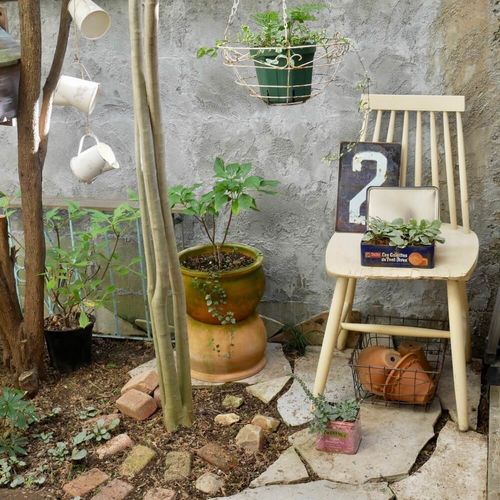 おしゃれな庭のデザイン センスのいい庭づくりのコツとは Greensnap グリーンスナップ