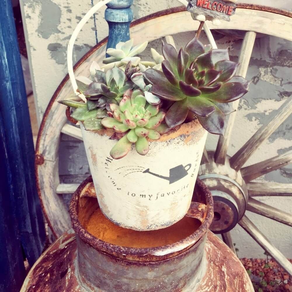 ジャンクガーデン