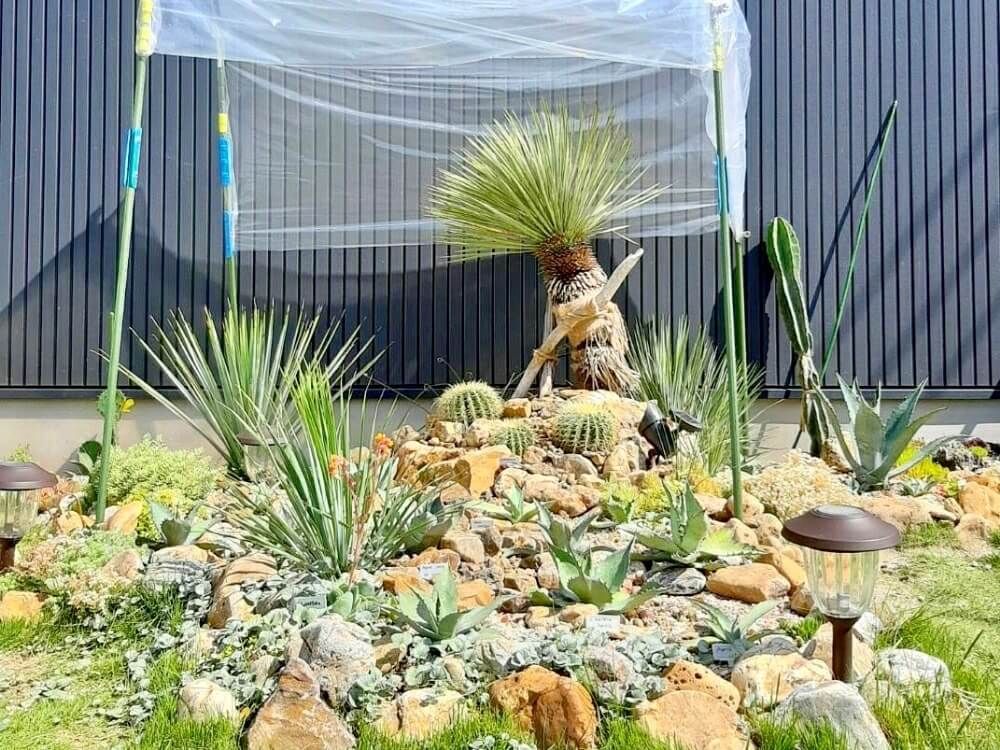 写真：ドライガーデン　砂利や岩が使われソテツやアガベ、コルジリネが生えている