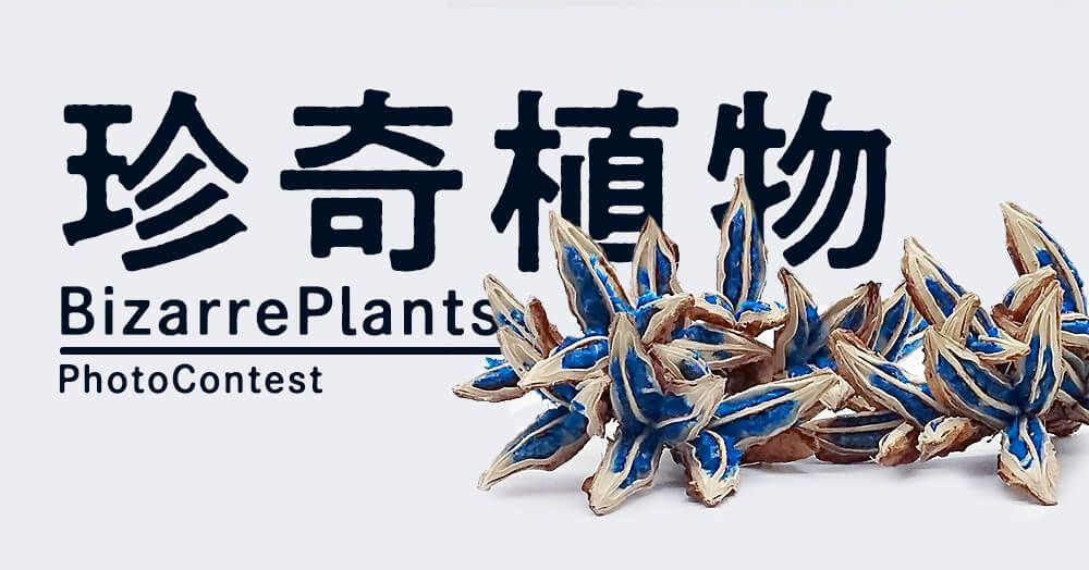 珍奇植物　フォトコンテスト