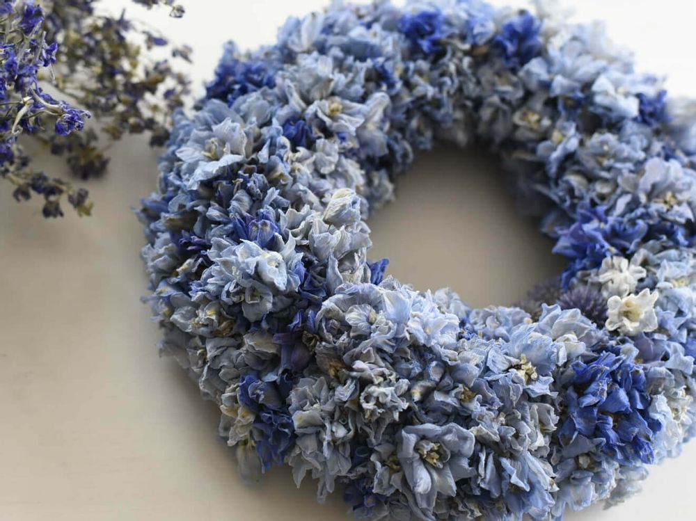 デルフィニウム