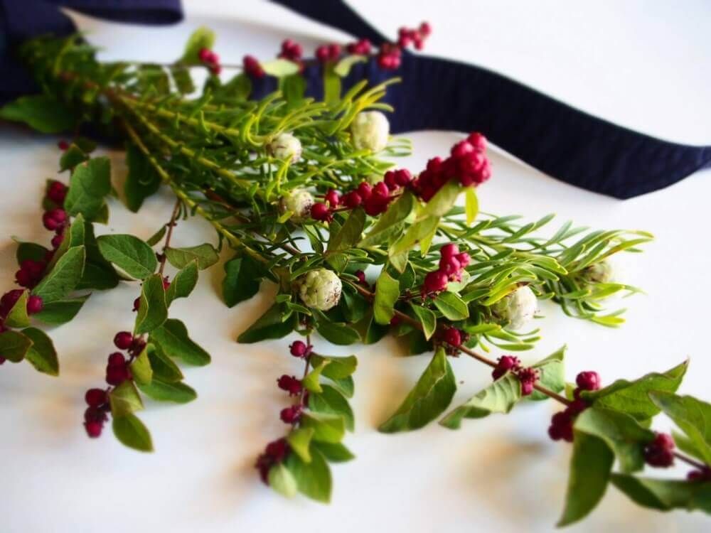 シンフォリカルポス