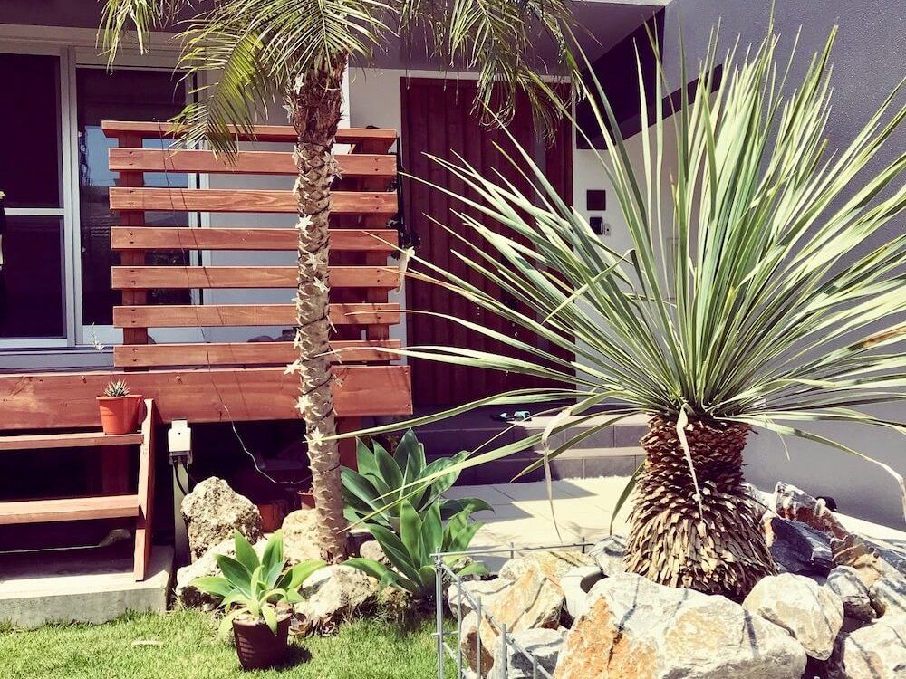 ドライガーデン