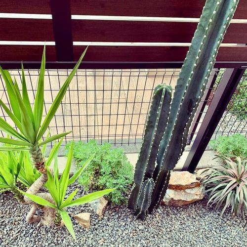 狭いお庭にもおすすめ ワイルドでおしゃれなドライガーデンの作り方とは Greensnap グリーンスナップ 狭いお庭にもおすすめ ワイルドでおしゃれなドライガーデンの作り方とは Greensnap グリーンスナップ