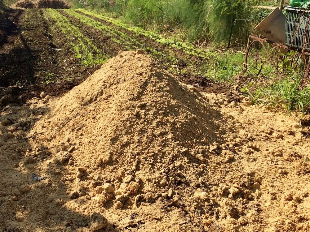 米ぬかの使い方 どんな成分や効果がある 肥料や土壌再生にも使える Greensnap グリーンスナップ