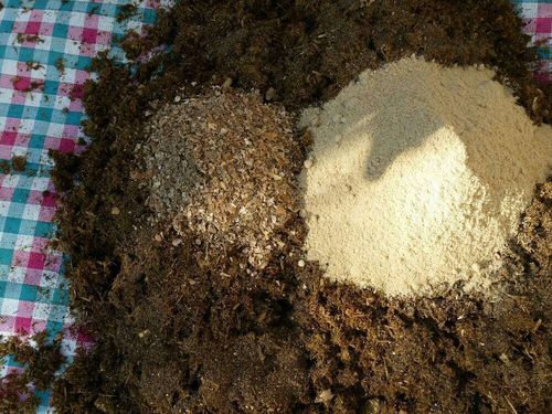 米ぬかの使い方 どんな成分や効果がある 肥料や土壌再生にも使える Greensnap グリーンスナップ