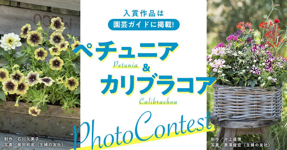 フォトコンテスト