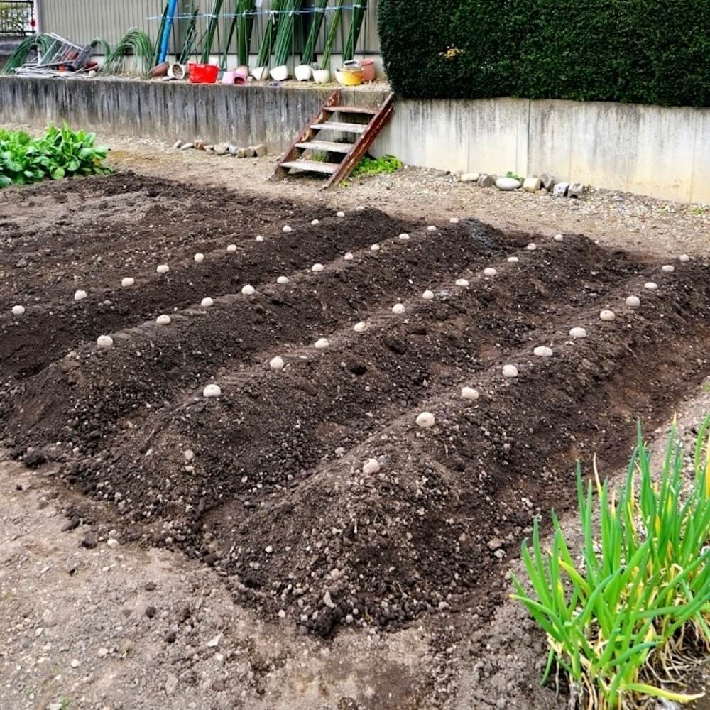 家庭菜園の土作り 畑の作り方は プランターの用土配合は Greensnap グリーンスナップ