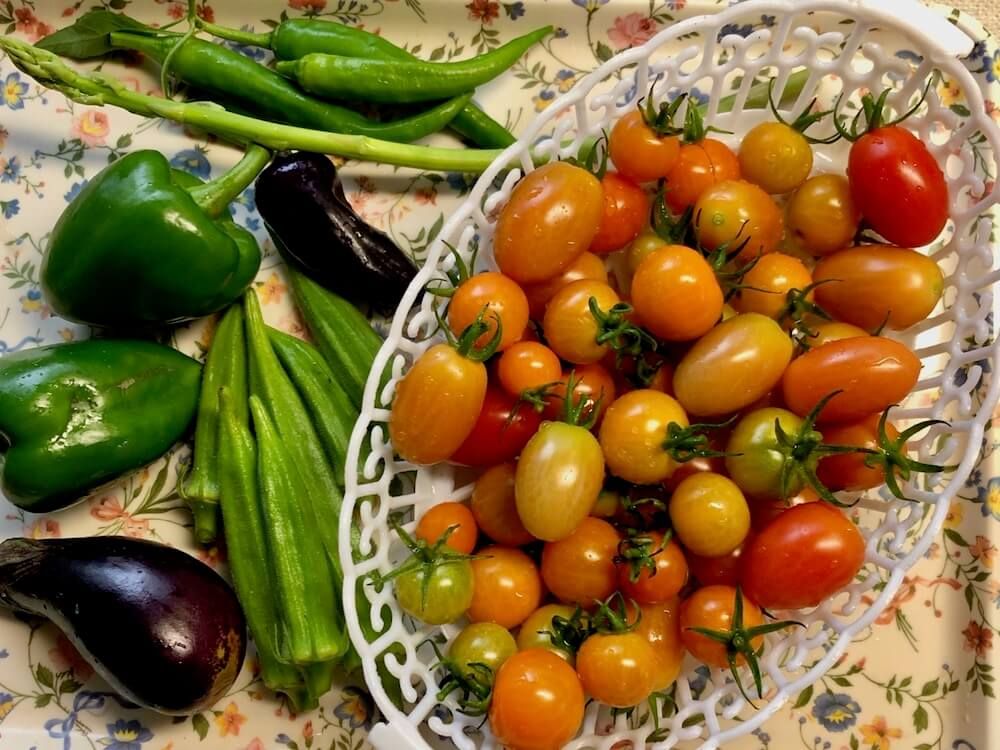 家庭菜園　収穫