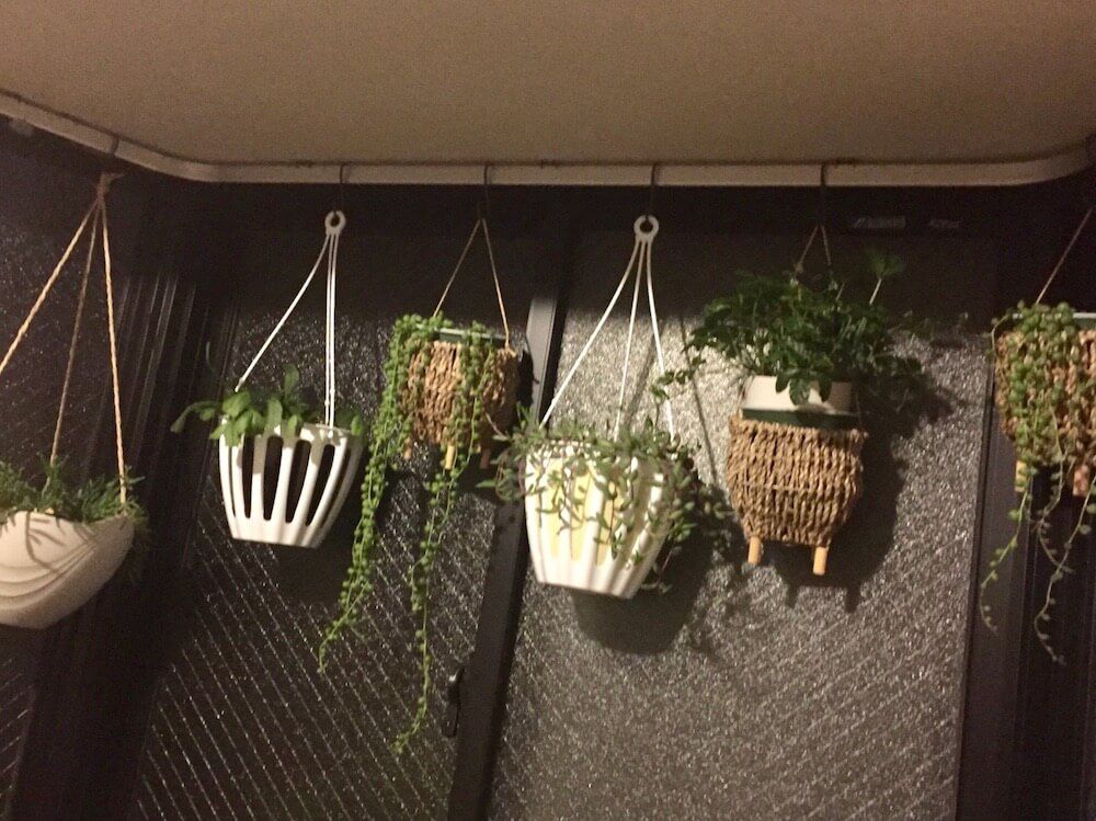 台風対策　ハンギング