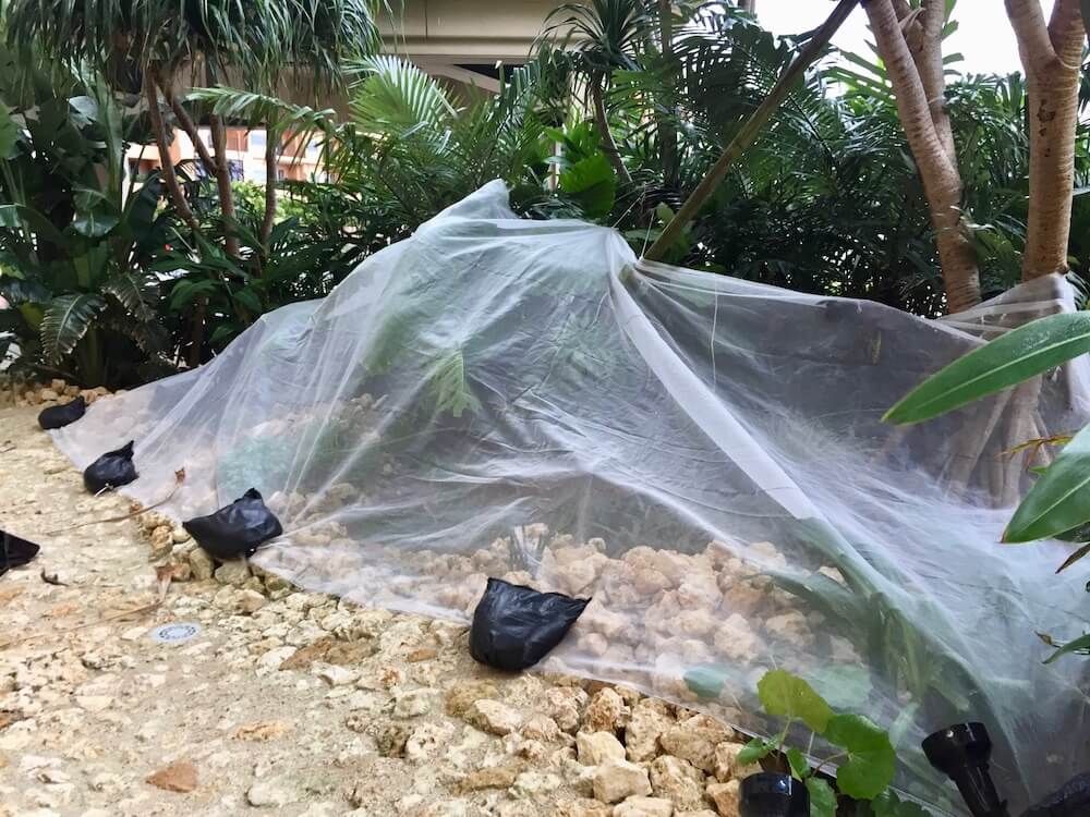 防風ネット　台風対策