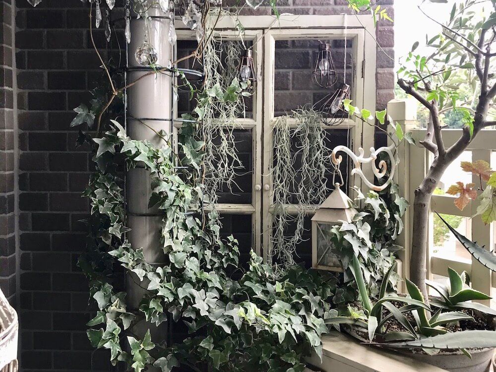 庭づくり　デザイン画像　ガーデニング