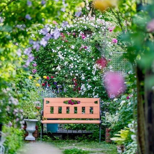 おしゃれな庭のデザイン センスのいい庭づくりのコツとは Greensnap グリーンスナップ