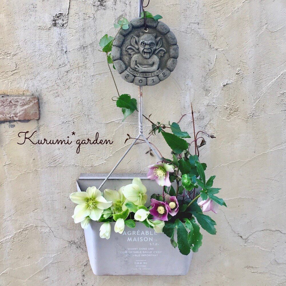 ハンギング　プランター