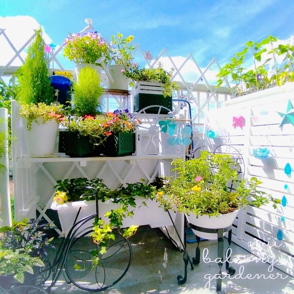 ベランダガーデン