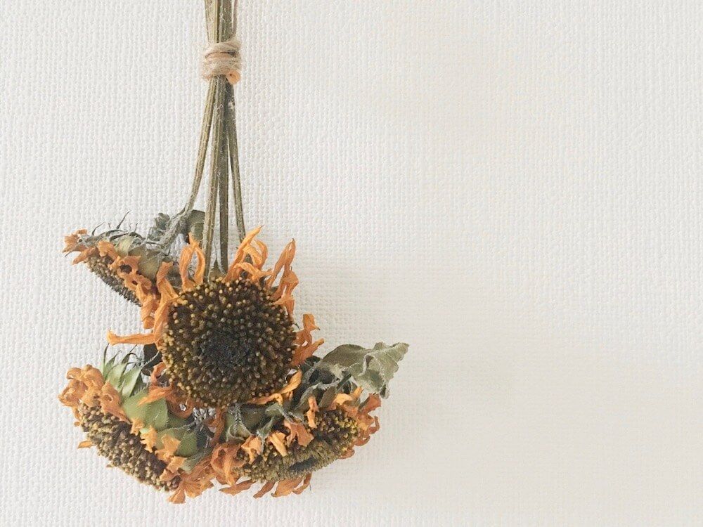 ひまわり　ドライフラワー　ヒマワリ　スワッグ