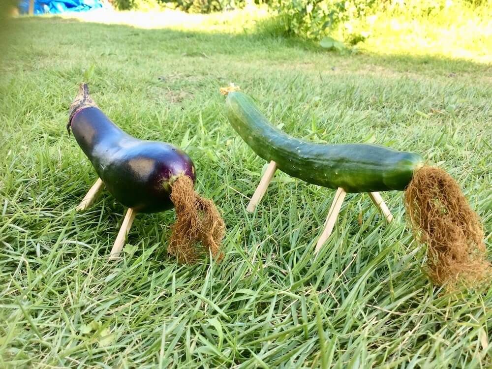 ナス　キュウリ