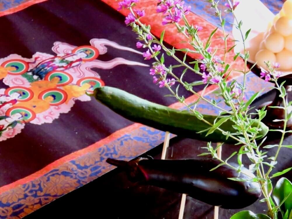 ナス　キュウリ