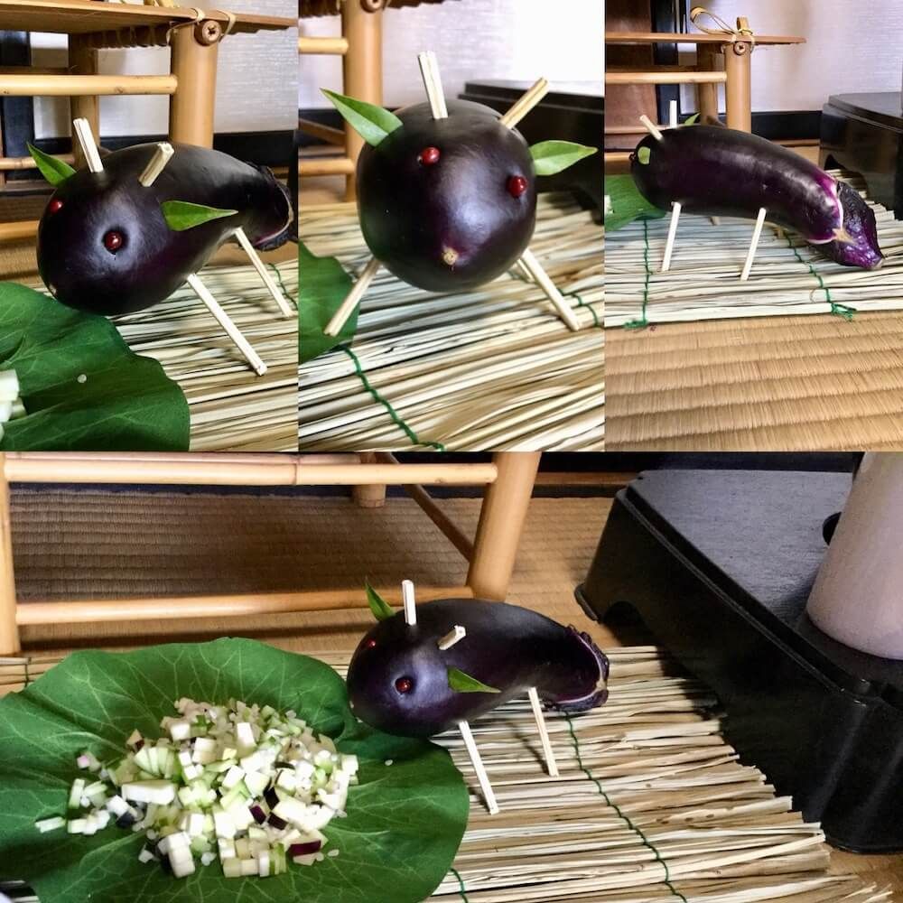 ナス　キュウリ