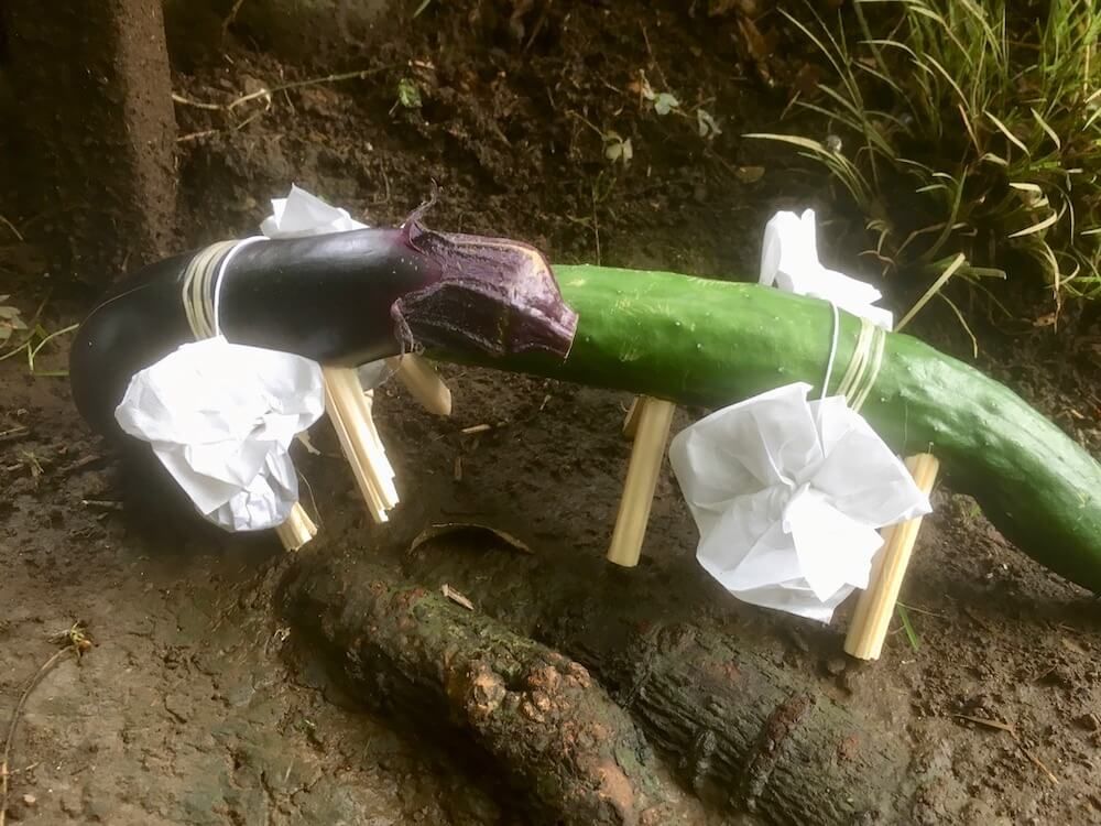 ナス　キュウリ