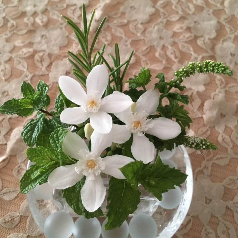 セイロンライティア