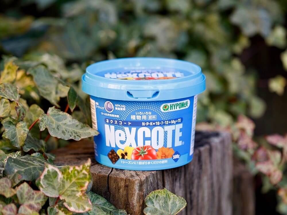 肥料　土作り　土づくり　用土　観葉植物