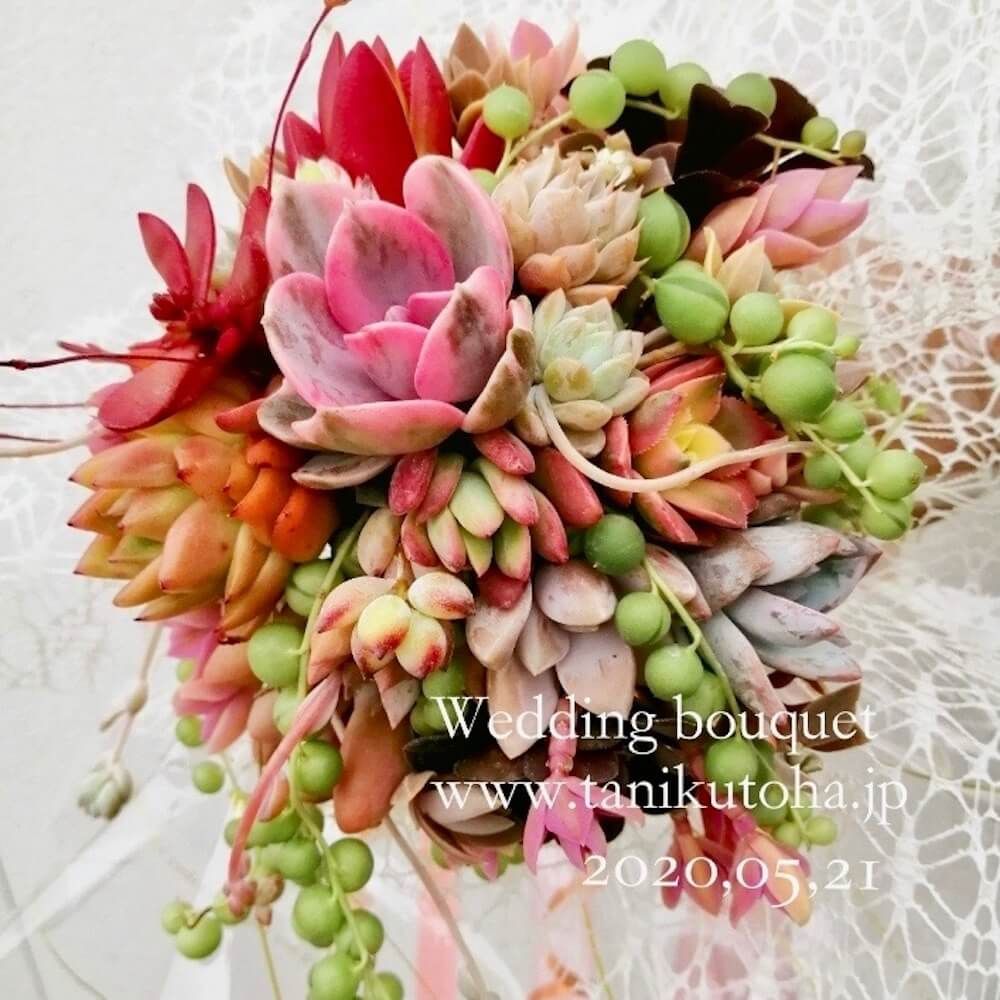 多肉植物　多肉ブーケ　アレンジ