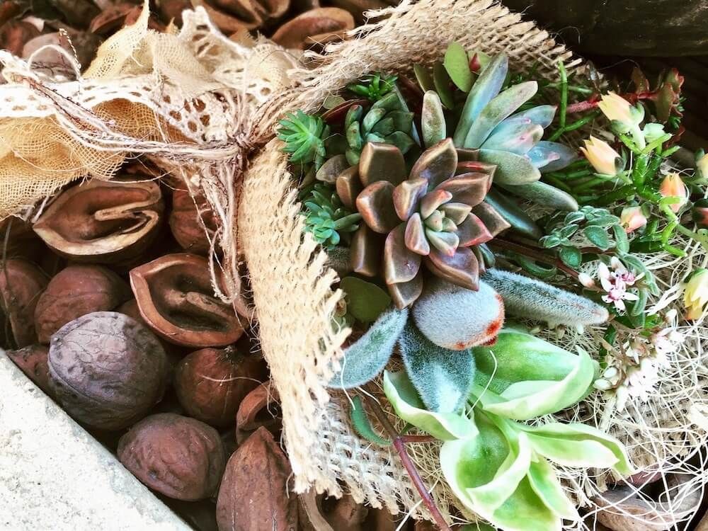 多肉植物　多肉ブーケ　アレンジ