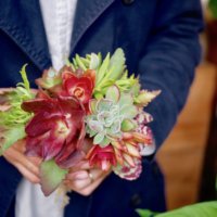 多肉植物好きのプレゼントは「多肉ブーケ」！マネしたくなるおすすめアイデア?の画像