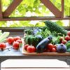 今から植える！家庭菜園初心者におすすめの簡単に育てられる野菜たちの画像