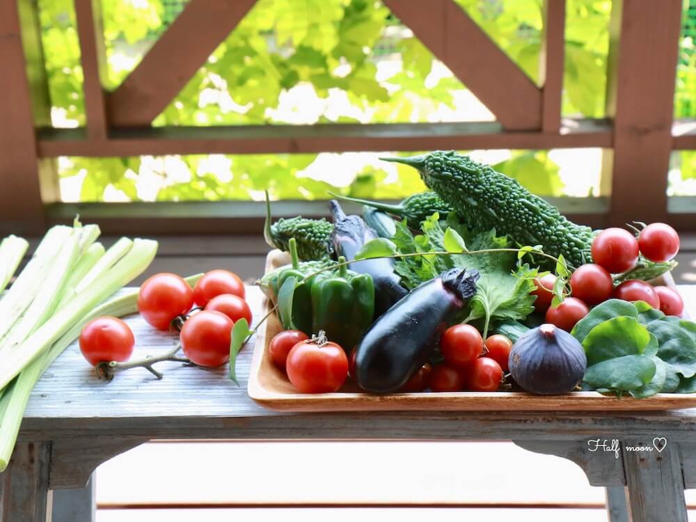 家庭菜園を始めよう 初心者でも失敗しない育てやすいおすすめ野菜15選 Greensnap グリーンスナップ